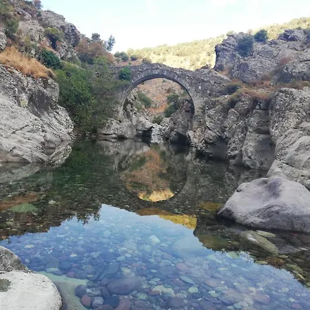 E Cime Locations De Meubles 3* Asco