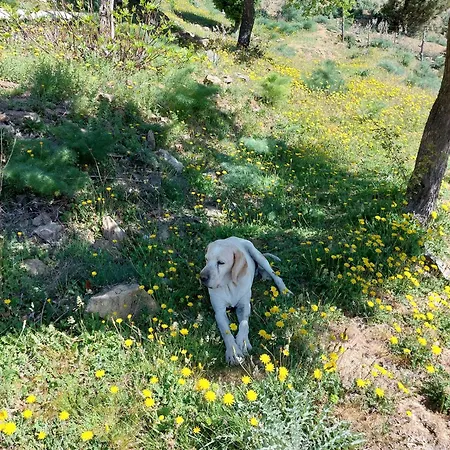 E Cime Locations De Meubles فندق مبيت وإفطار 3*