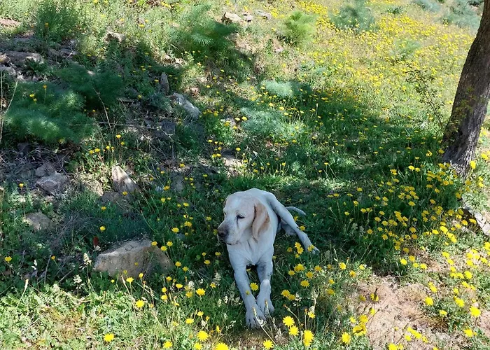 E Cime Locations De Meubles Bed & Breakfast 3*