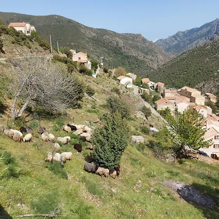 Résidence E Cime Asco