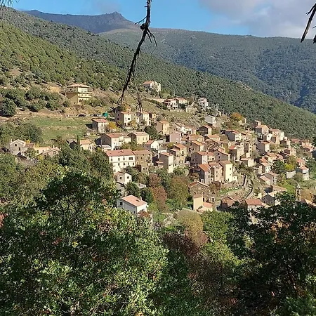 E Cime Locations De Meubles Bed & Breakfast Asco