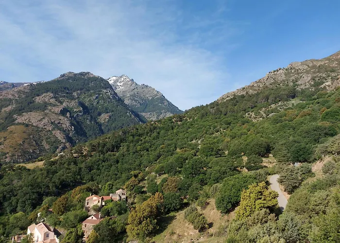 Résidence E Cime 3*