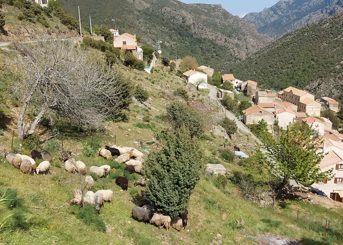 Résidence E Cime Asco